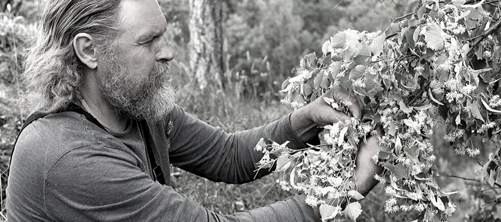 The Best Ingredients For Beard Growth